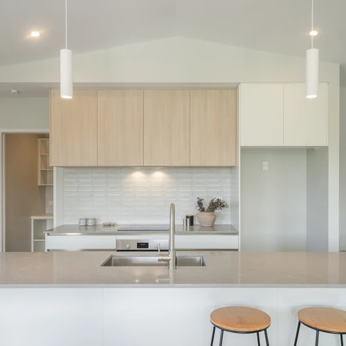 WLG104788 24 Kotuku Ngutupapa Way Brad Turner 1034 1600 24