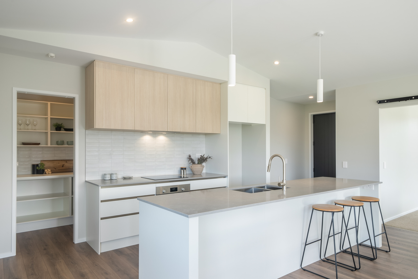 WLG104788 24 Kotuku Ngutupapa Way Brad Turner 1034 1600 25