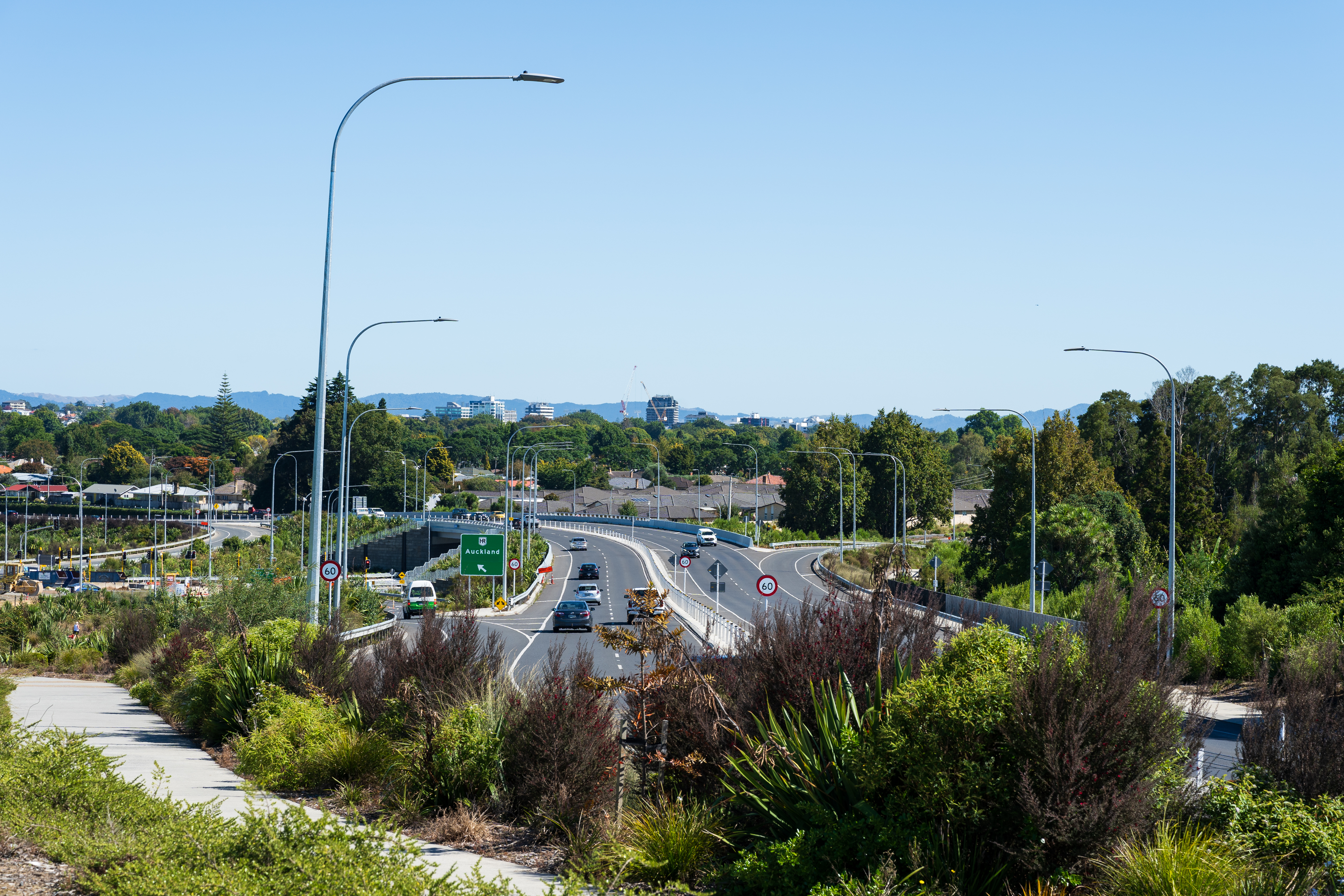 Hamiton SH1 View