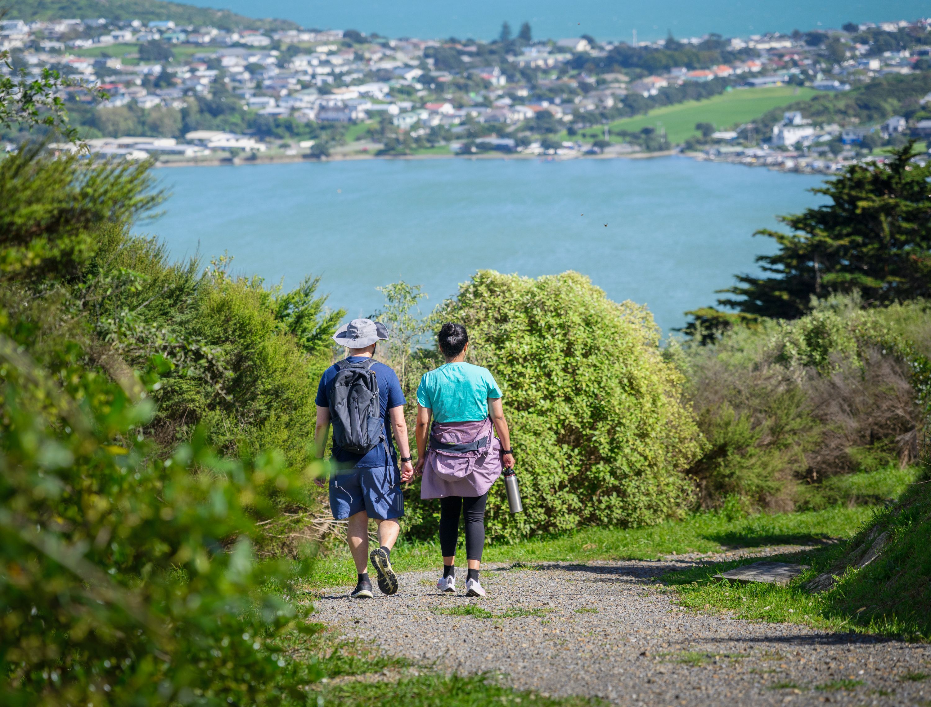 Walking In Porirua Hills