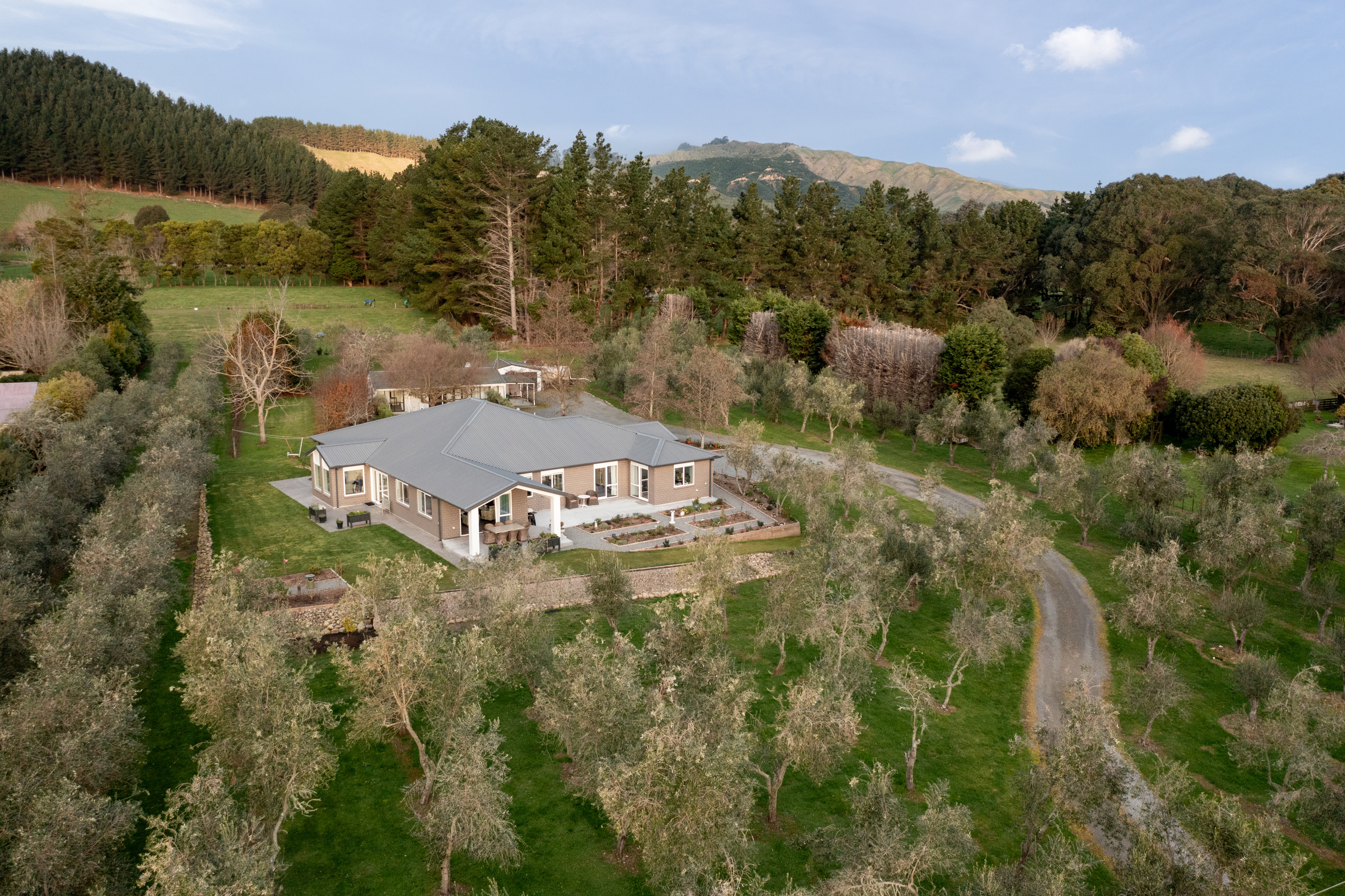 064 Dave & Dianne Testimonial Web