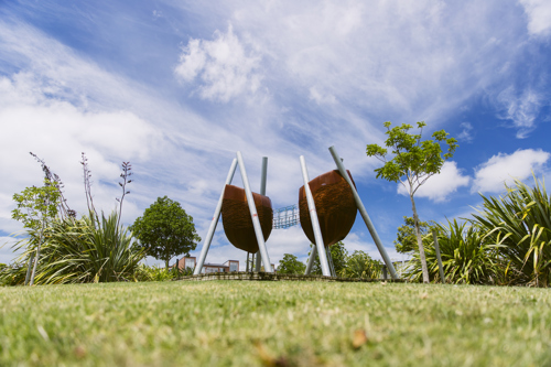 Hobsonville Point Parks