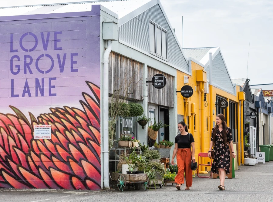 Hwt15 Shopping Lovegrove Lane
