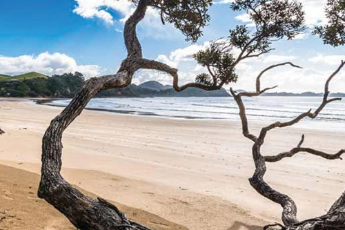 Totara Oarklands Beach