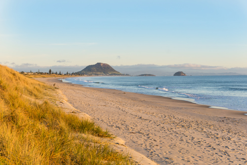 Bay of plenty home builder