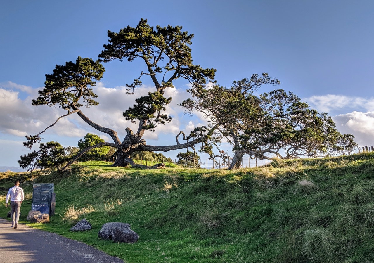 Glen Innes Aukland