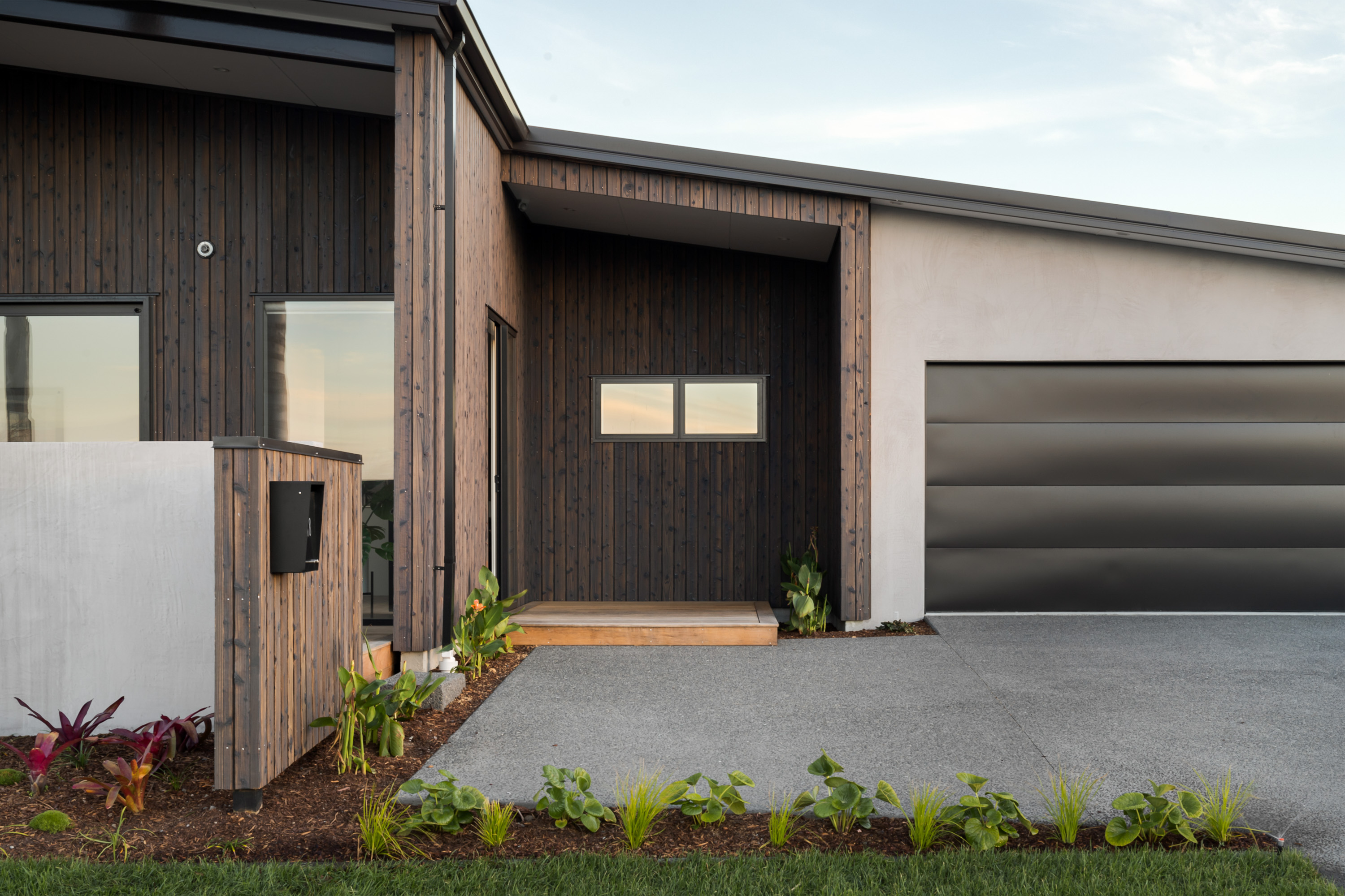 BOP 18 Montiicola Web 66