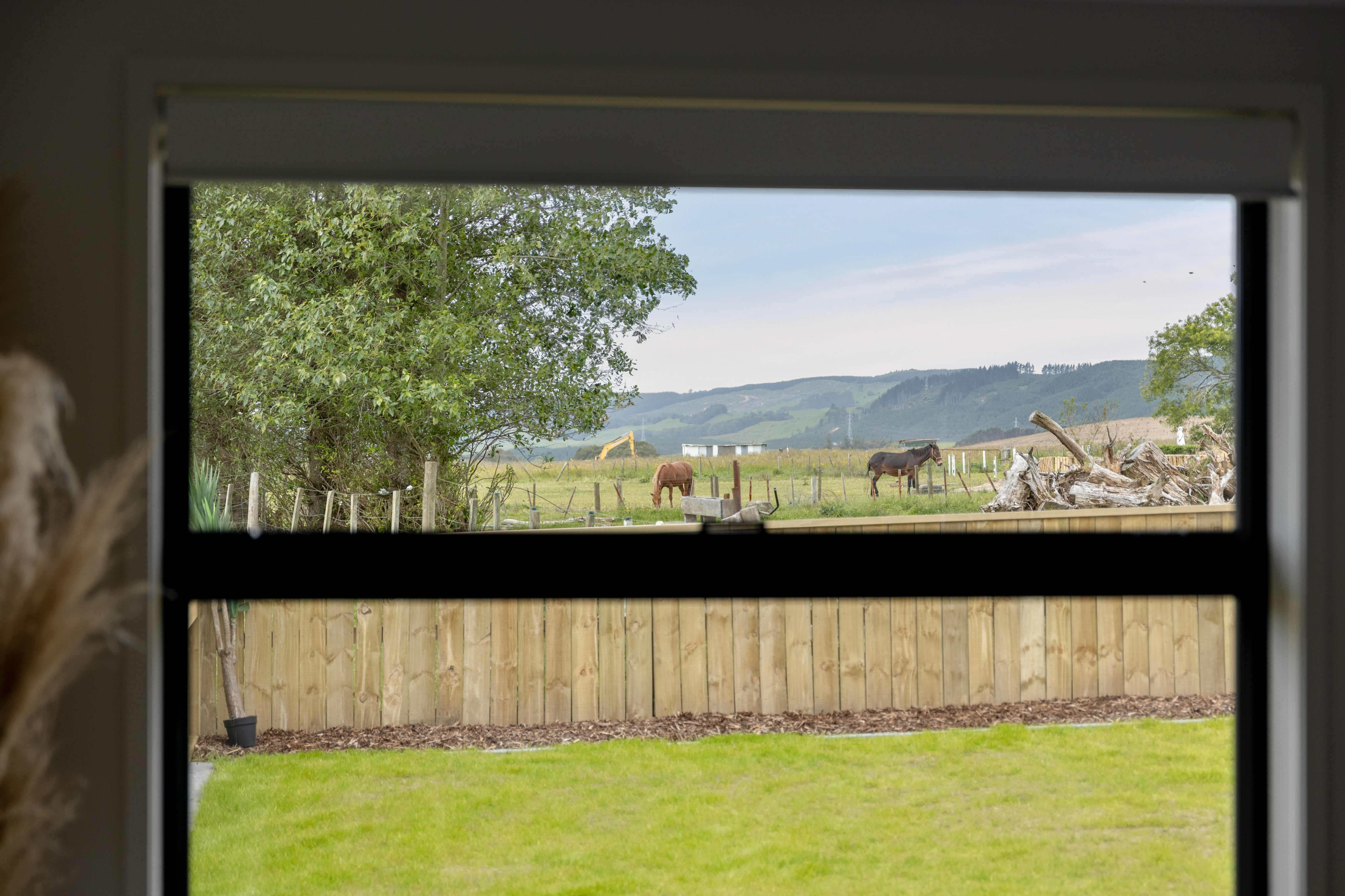 043 Rotorua Steph Web