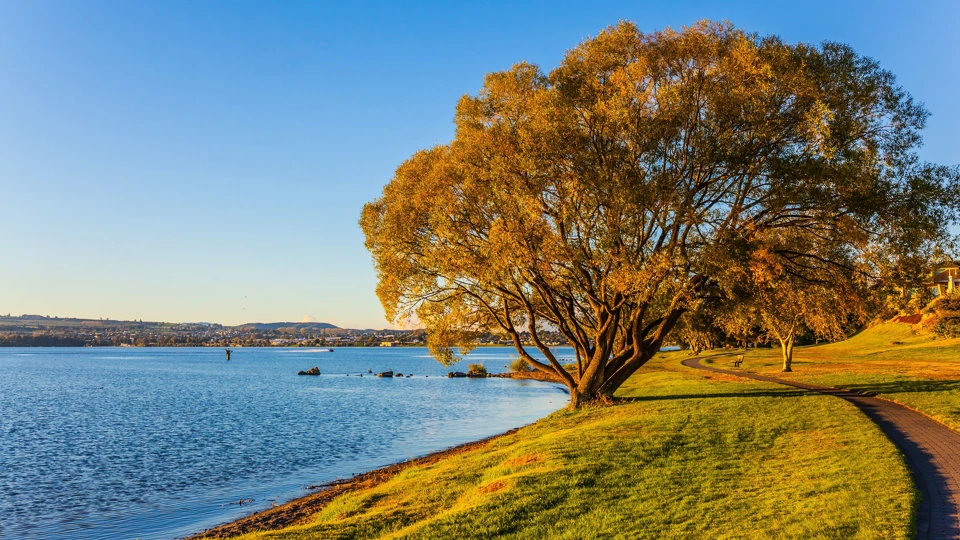 Rotorua