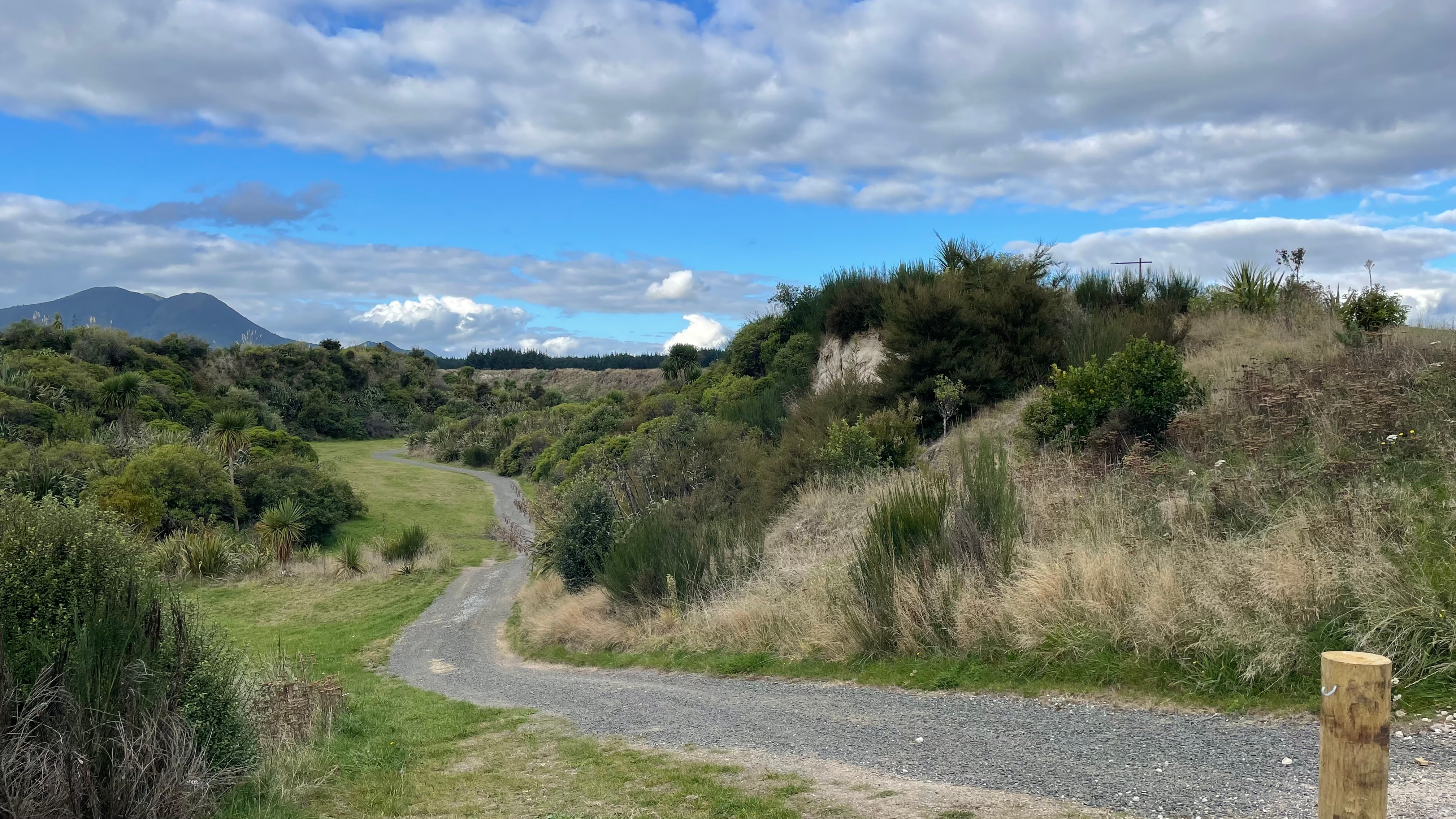 22 Wharariki Rise